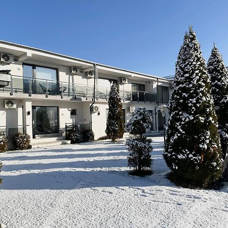 Pensiunea White Department Vladesti Luaran gambar